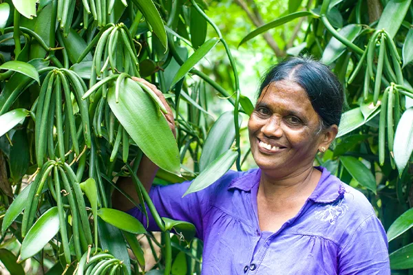 Ceylon Organic Spices Farmers with JAPC