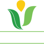 JAPC Export Company Logo