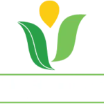 JAPC Export Company Logo