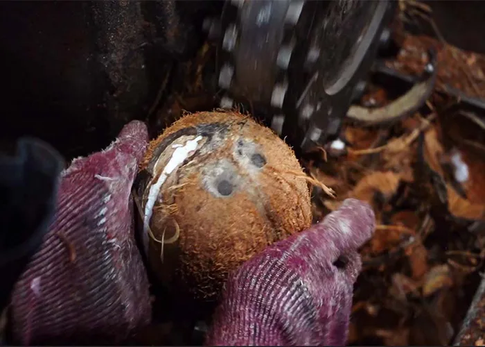 Organic Coconut Processing at JAPC