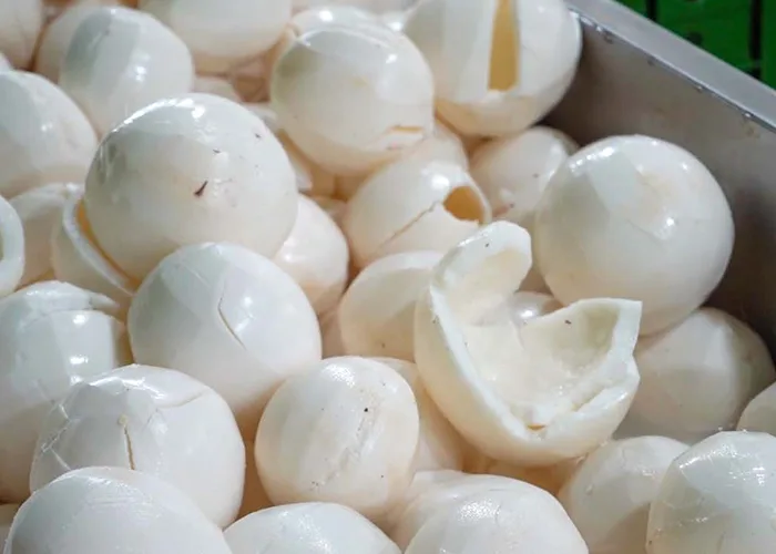 Organic Coconut Processing at JAPC