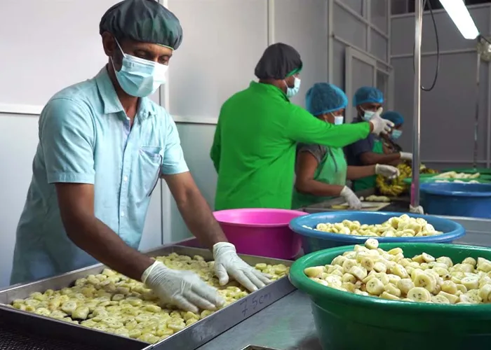 Organic Dehydrated Fruits Processing at JAPC