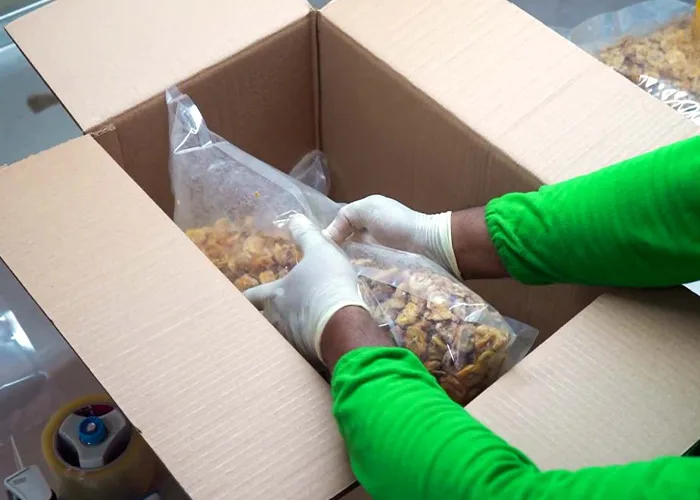 Organic-Dehydrated-Fruits-Processing-JAPC-03