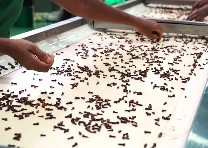 Organic Ceylon Spices Processing at JAPC