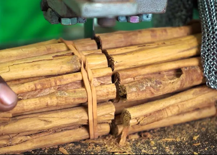Organic Ceylon Spices Processing at JAPC