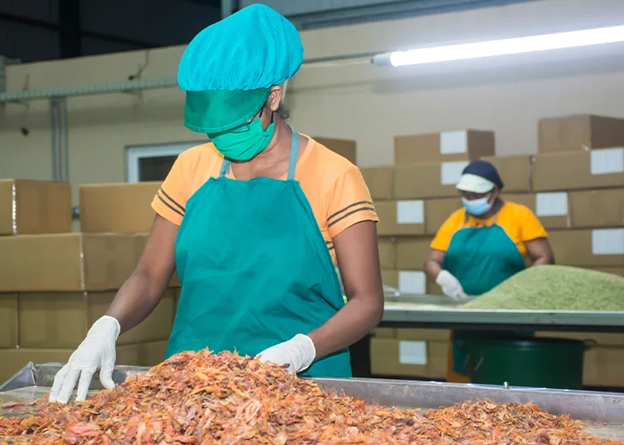 Organic Ceylon Spices Processing at JAPC
