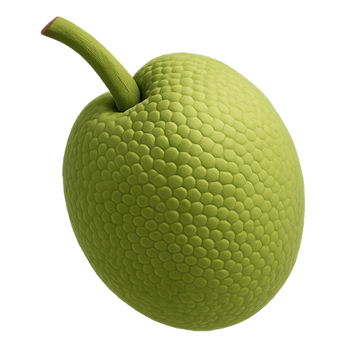 Organic Ceylon Fruit Bread Fruit