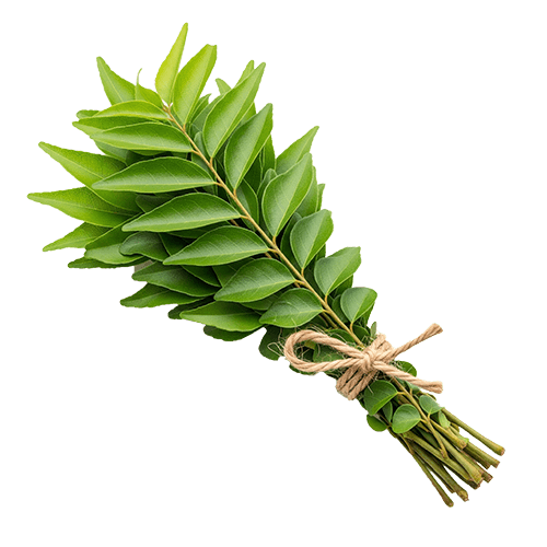 Organic Ceylon Herb Curry Leaves
