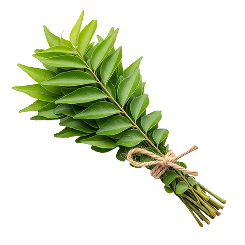 Organic Ceylon Herb Curry Leaves