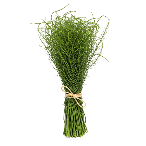 Organic Ceylon Herb Hathawariya