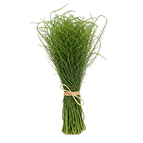 Organic Ceylon Herb Hathawariya