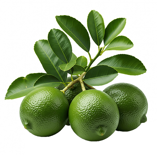 Organic Ceylon Herb Lime