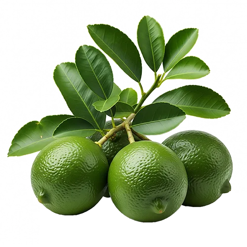 Organic Ceylon Herb Lime