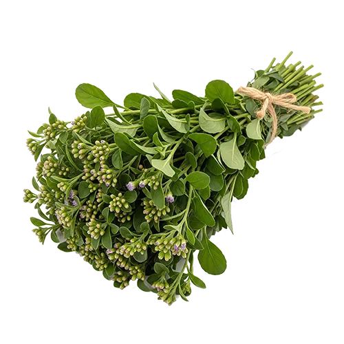 Organic Ceylon Herb Monarakudumbiya