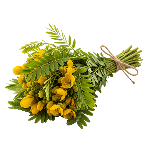 Organic Ceylon Herb Ranawara