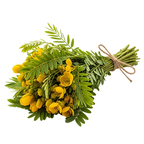 Organic Ceylon Herb Ranawara