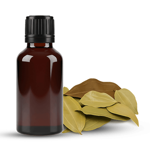 Essential Oils and Extract Powders | Organic Ceylon Spices Exporter 2 Organic Cinnamon Leaf Essential Oil