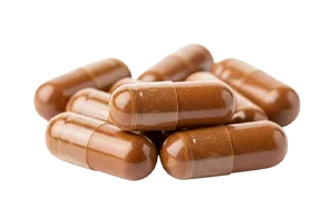Organic Cinnamon Spice Capsules