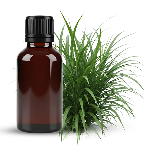 Organic Citronella Essential Oil