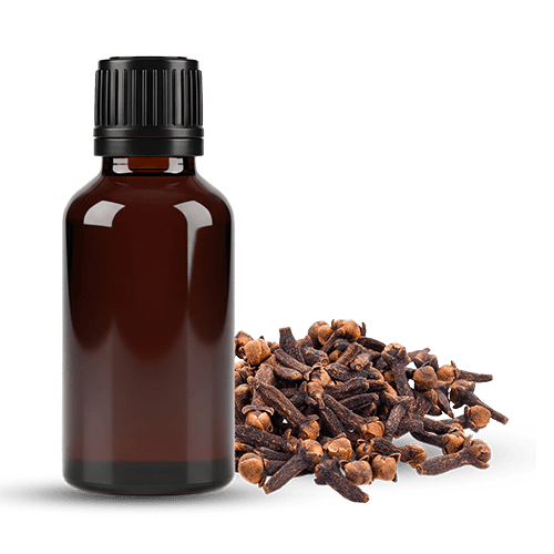 Essential Oils and Extract Powders | Organic Ceylon Spices Exporter 3 Organic Clove Bud Essential Oil
