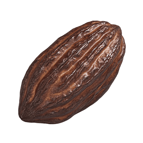 Organic Ceylon Fruit Cocoa