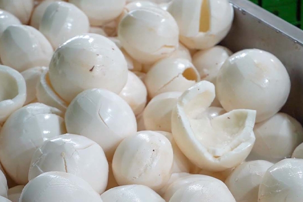 Gallery | Organic Ceylon Spices Exporter 21 Organic Coconut Products Images