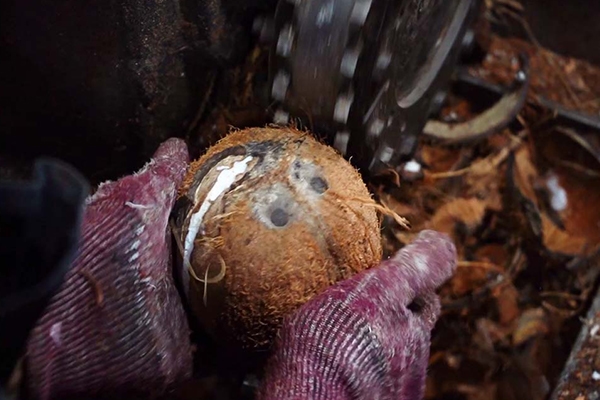 Gallery | Organic Ceylon Spices Exporter 22 Organic Coconut Products Images