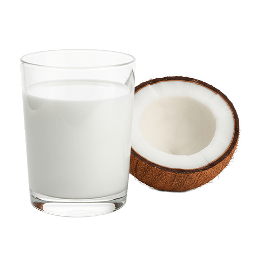 Organic Coconut Products | Organic Ceylon Spices Exporter 6 Organic Coconut Milk