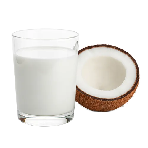 Organic Coconut Milk