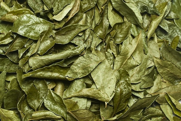 Organic Ceylon Curry Leaves