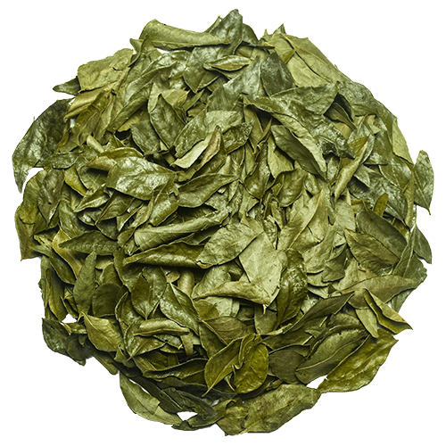 Organic Ceylon Curry Leaves