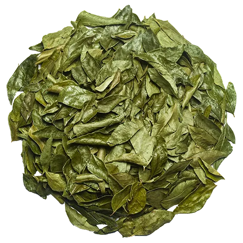 Organic Ceylon Curry Leaves