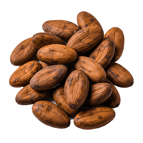 Organic Ceylon Dehydrated Fruit Cocoa Beans