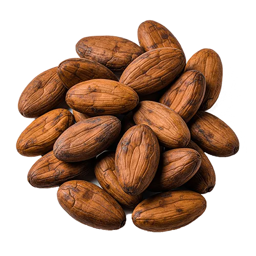Organic Ceylon Dehydrated Fruit Cocoa Beans