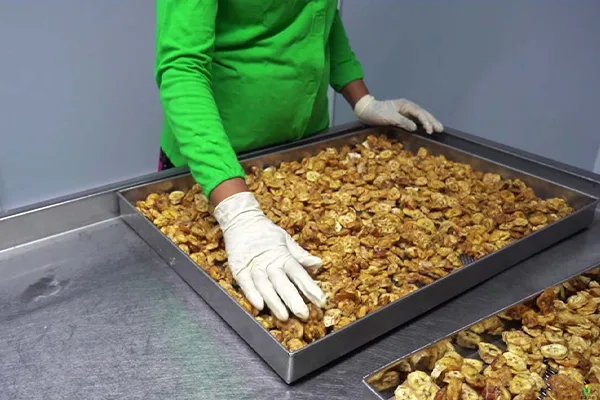 Organic Dehydrated Fruits Images