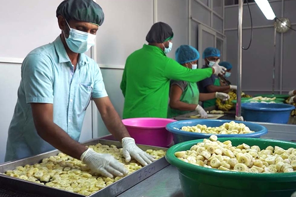 Gallery | Organic Ceylon Spices Exporter 26 Organic Dehydrated Fruits Images
