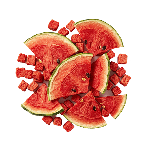 Organic Ceylon Dehydrated Fruit Watermelon