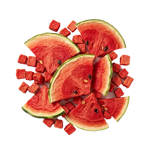Organic Ceylon Dehydrated Fruit Watermelon