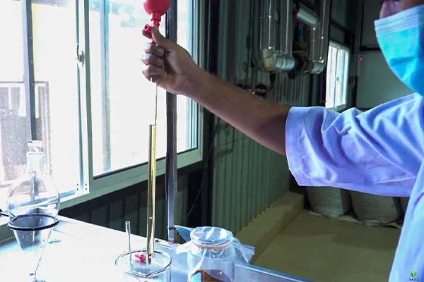 Organic Essential Oils Images