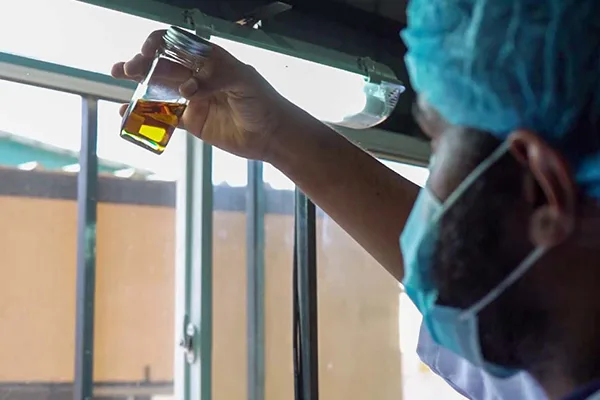 Organic Essential Oils Images