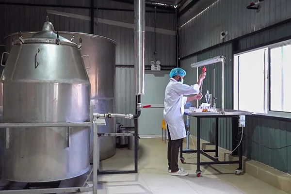 Organic Essential Oils Images