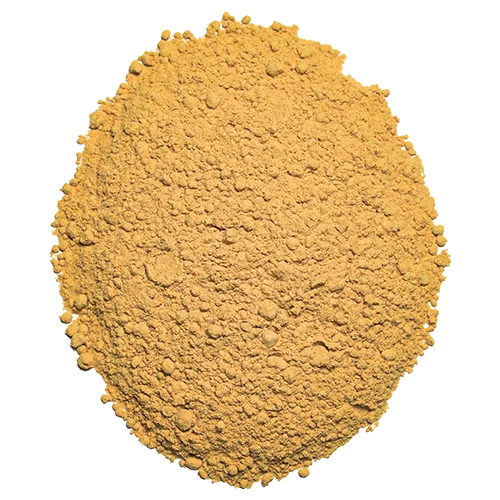 Organic Ceylon Ginger Powder