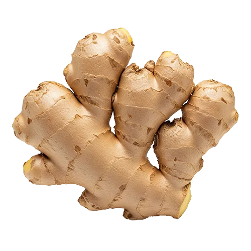 Organic Ceylon Ginger Whole