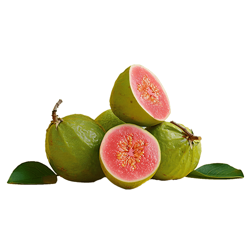 Organic Ceylon Fruit Guava