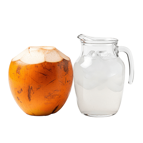 Organic Coconut Products | Organic Ceylon Spices Exporter 14 Organic King Coconut Water