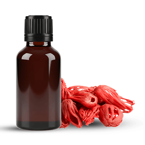 Essential Oils and Extract Powders | Organic Ceylon Spices Exporter 7 Organic Mace Essential Oil