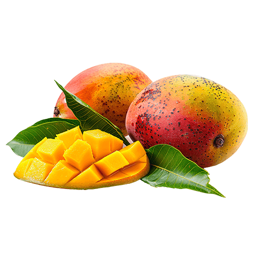 Organic Ceylon Fruit Mango