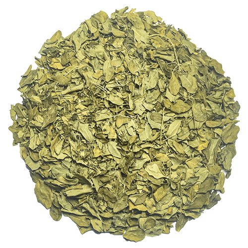 Organic Ceylon Moringa