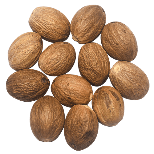 Organic Ceylon Nutmeg Large