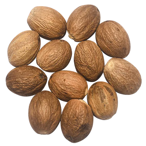 Organic Ceylon Nutmeg Large